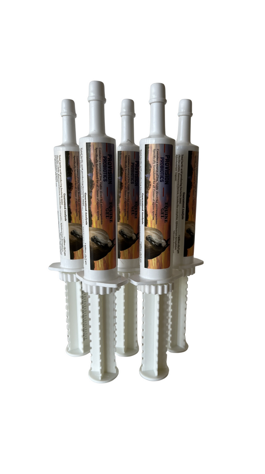 ProVision Probiotics Equine Gel 30 ml Tube (5 Pack)