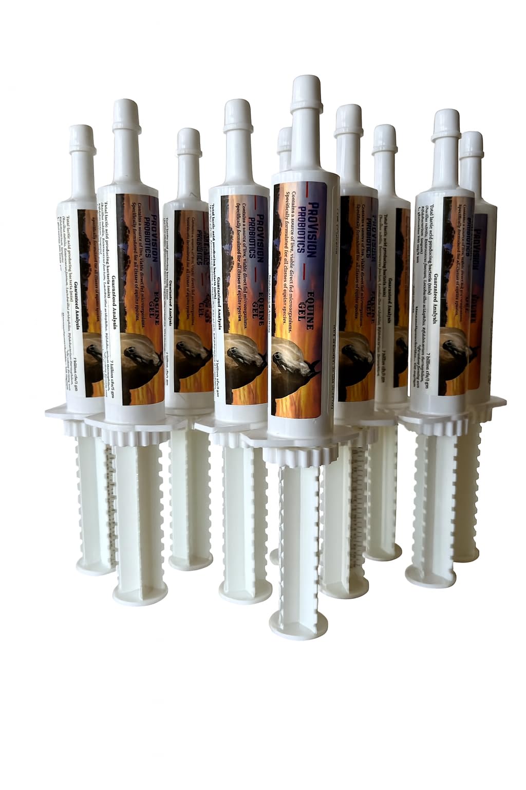 ProVision Probiotics Equine Gel 30 ml Tube (10 Pack)