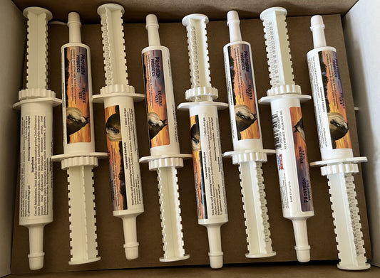 ProVision Probiotics Equine Gel 30 ml Tube (25 Pack)