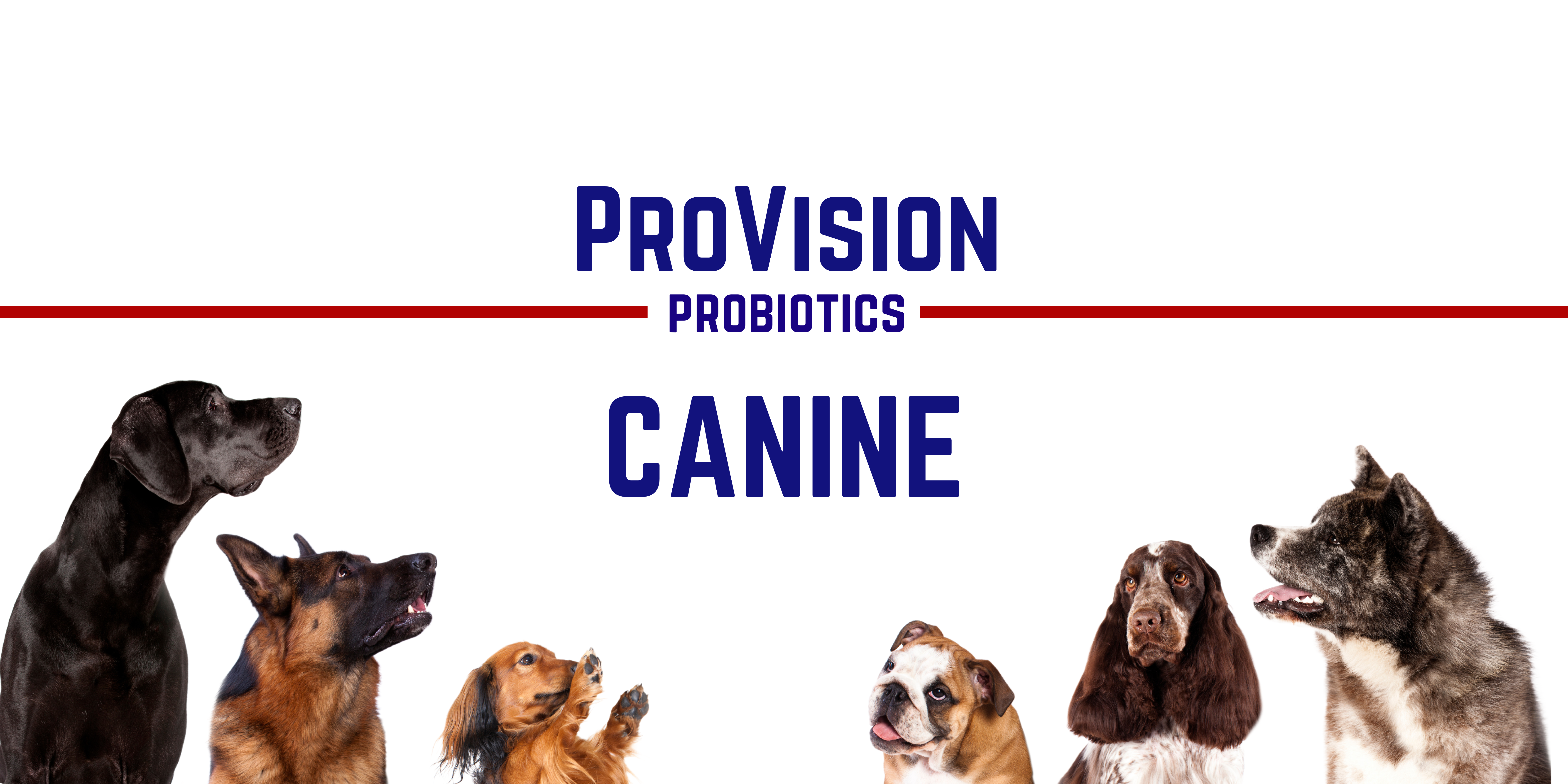 Canine probiotics outlet